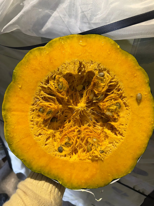 Macro close-up of the dense, vibrant orange interior of a Zapallo squash, showing the moist, high-fiber culinary texture.